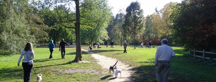 Sunnybrook Dog Park is one of Locais curtidos por Alex.