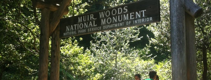 Muir Woods National Monument is one of N3rds In San Fransisco (Oakland, etc...).