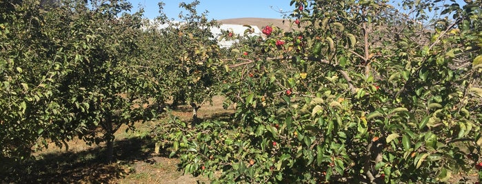 Apple Garden Farm is one of Tempat yang Disukai Jim.