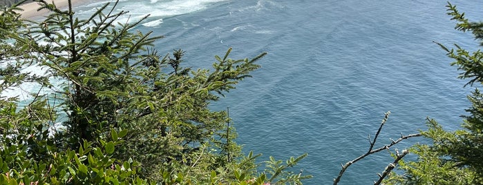 Cape Lookout is one of Portland 2014.