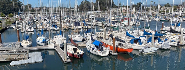 Santa Cruz Yacht Club is one of Top picks for Harbors or Marinas.