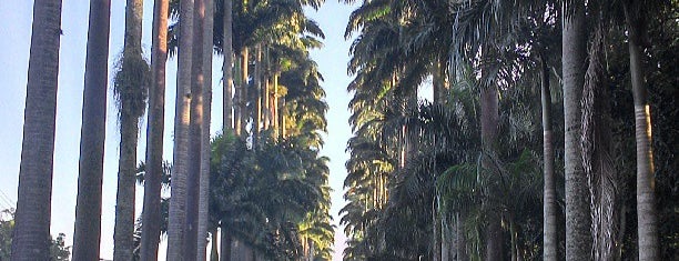 Jardim Botânico do Rio de Janeiro is one of Posti che sono piaciuti a Santiago.