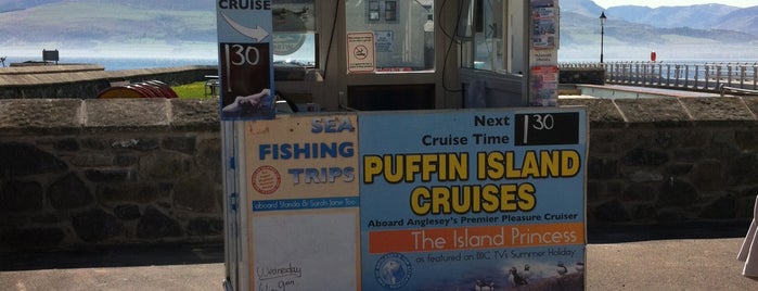 Puffin Island Cruises aboard Island Princess is one of wales/UK 2022.