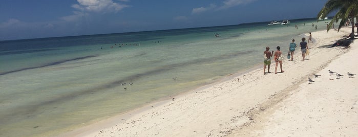 Cayo Blanco - Cuba. is one of Alejandra'nın Beğendiği Mekanlar.