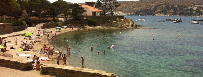 Platja d'en Ros is one of PLAYAS y CALAS COSTA BRAVA.