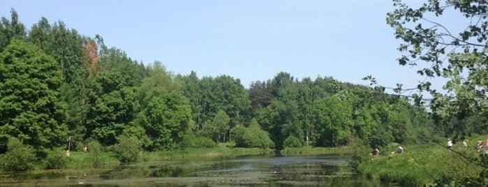 Ржевский лесопарк is one of Lieux qui ont plu à Елена.