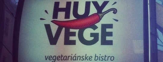 Huy Vege is one of bio/veg.