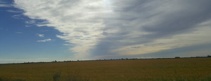 Parc Natural del Delta de l'Ebre is one of Veniceさんのお気に入りスポット.