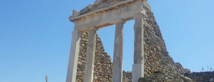 Delos is one of Swim and See in Mykonos.