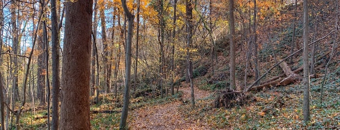 Buttermilk Trail is one of Justinさんのお気に入りスポット.