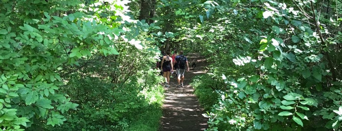 Buck Mountain Trailhead is one of Lugares favoritos de Nicholas.