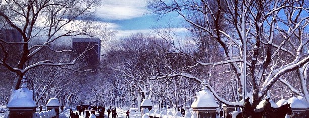 Central Park Winter Jam is one of สถานที่ที่ Larry ถูกใจ.