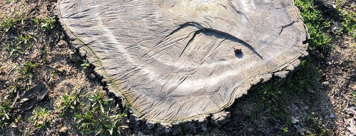 Дерево Щастя / Tree of Happyness is one of Скульптуры.