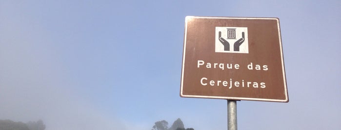 Parque das Cerejeiras is one of Campos.