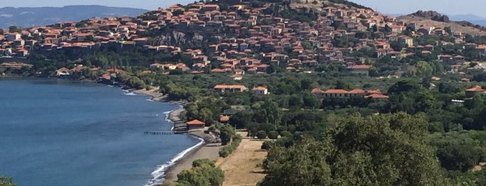 Molivos Harbor is one of Midilli.