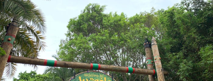 Jungala is one of Busch Gardens.