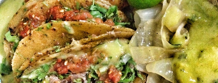 Tacos Primo is one of Mty.
