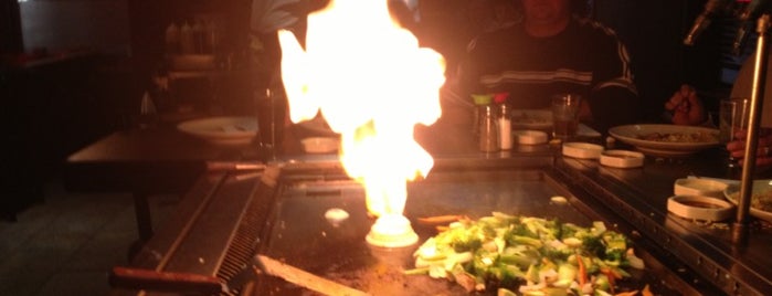 Wild Chef Japanese Steakhouse is one of Locais curtidos por Katy.