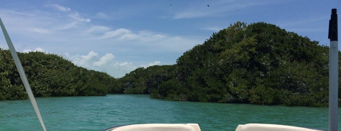 KeyZ Charters Boat Tours is one of Florida Keys.