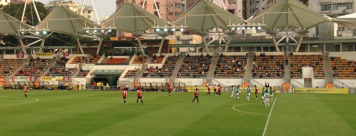 Mong Kok Stadium is one of Soccer Field Hong Kong.