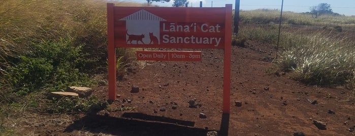 Lanai Cat Sanctuary is one of สถานที่ที่ Alika ถูกใจ.