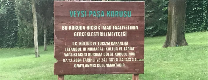 Veysi Paşa Korusu is one of Park bahce ve korular.