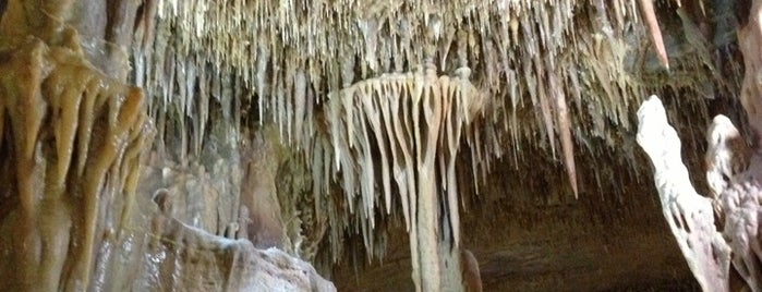 Petralona cave is one of Greece.