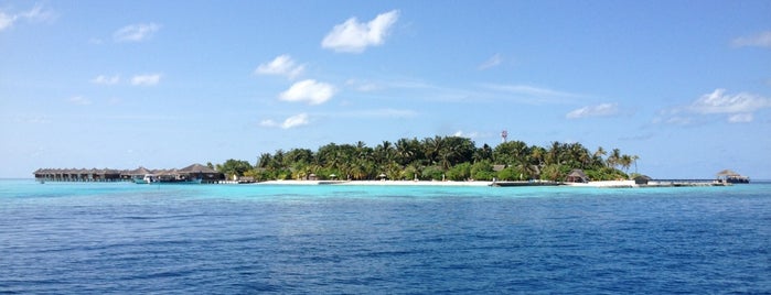 Maafushivaru Resort is one of Travel.
