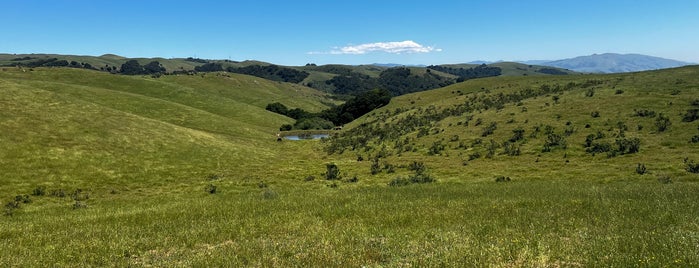 Garin/Dry Creek Pioneer Regional Parks is one of Bay Area Things To Do.