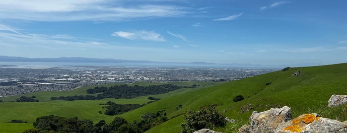 Garin/Dry Creek Pioneer Regional Parks is one of The Bay Area.