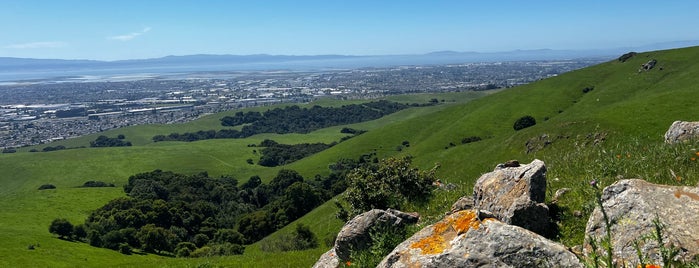 Garin/Dry Creek Pioneer Regional Parks is one of The Bay Area.