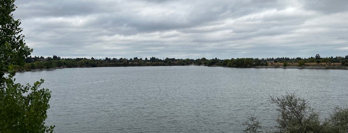 Quarry Lakes Regional Recreation Area is one of Locais salvos de Shirley.