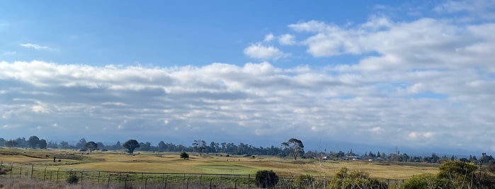 Palo Alto Golf Course is one of Top picks for Golf Courses.