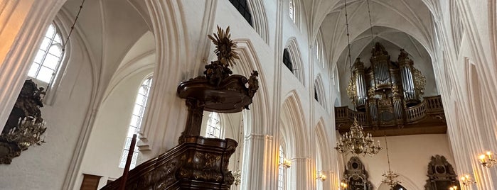 Odense Domkirke is one of Orte, die Menossi, gefallen.