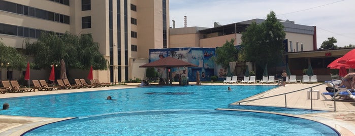 Villa Grand ( Grand Mir Hotel ) Swimming Pool is one of Узбекистан.