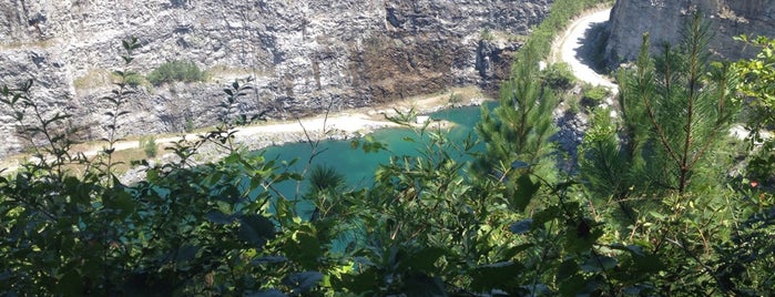 TWD Quarry is one of The Walking Dead.