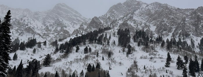 Snowbird Ski & Summer Resort is one of Utah.