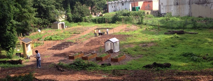 Community Garden is one of Favorite Food.