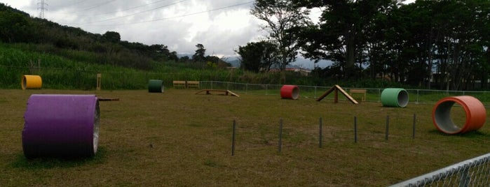Polideportivo Porvenir is one of Parques Recreativos.