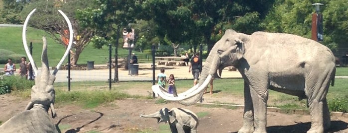 La Brea Tar Pits & Museum is one of Wilshire.