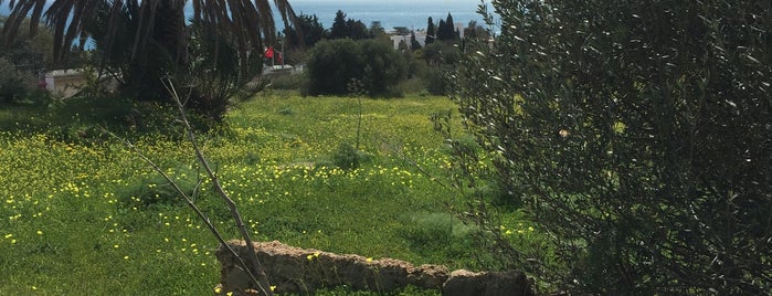 Villas romaines de Carthage is one of tunis.