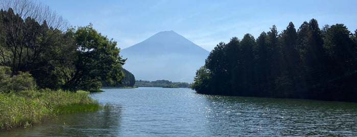田貫湖 is one of Aloha !さんのお気に入りスポット.