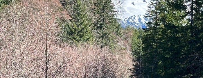 Mount Rainier National Park is one of Seattle Road Trips.