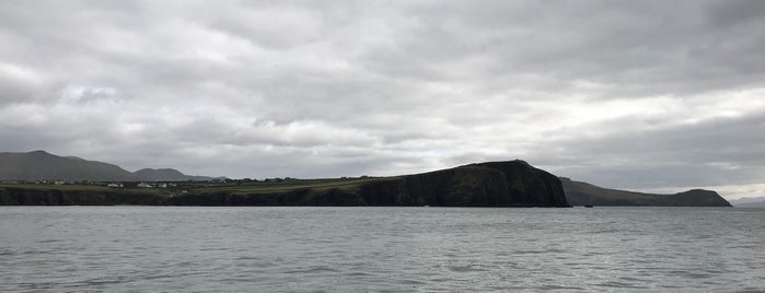 Dingle Cliffs is one of Lieux qui ont plu à Alan.