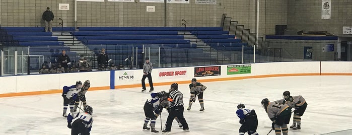 Four Seasons Arena is one of Rinks!.