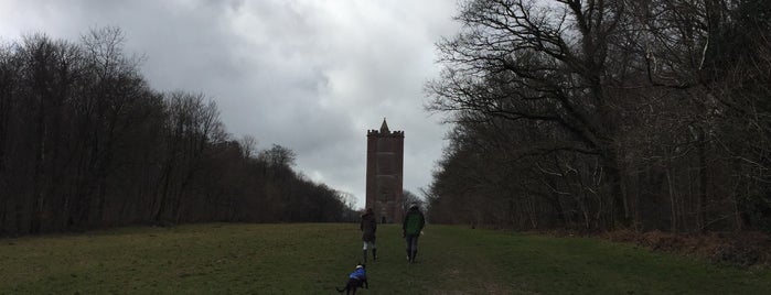 King Alfred's Tower is one of Elliott : понравившиеся места.