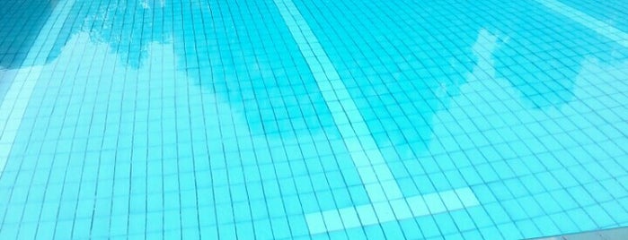 Swimming Pool Rumah Sosis is one of wisata air Bandung.