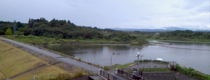 化女沼ダム is one of ラムサール条約登録湿地(Ramsar Convention Wetland in Japan).