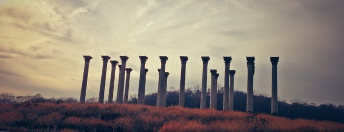 United States National Arboretum is one of Washington DC.