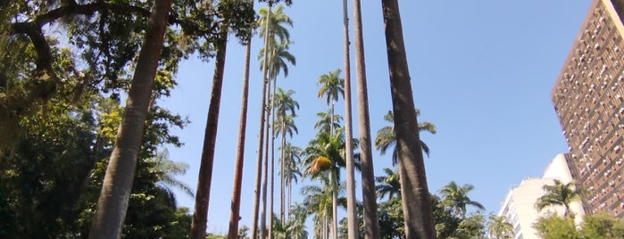 Jardins do Museu da República is one of Mis Lugares: Rio de Janeiro.